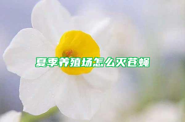 夏季養(yǎng)殖場怎么滅蒼蠅