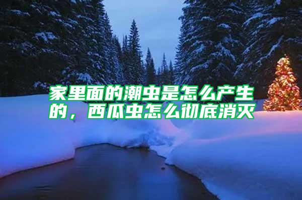 家里面的潮蟲是怎么產(chǎn)生的，西瓜蟲怎么徹底消滅