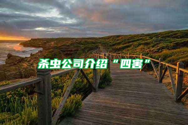 殺蟲(chóng)公司介紹“四害”