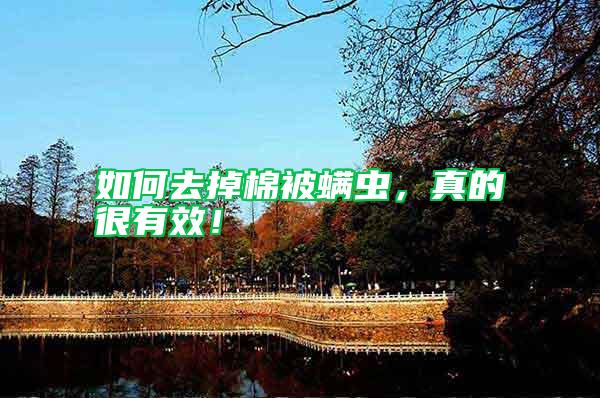 如何去掉棉被螨蟲(chóng)，真的很有效！