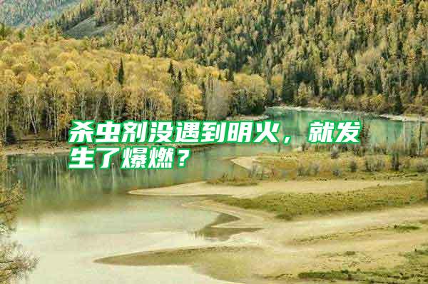 殺蟲(chóng)劑沒(méi)遇到明火，就發(fā)生了爆燃？