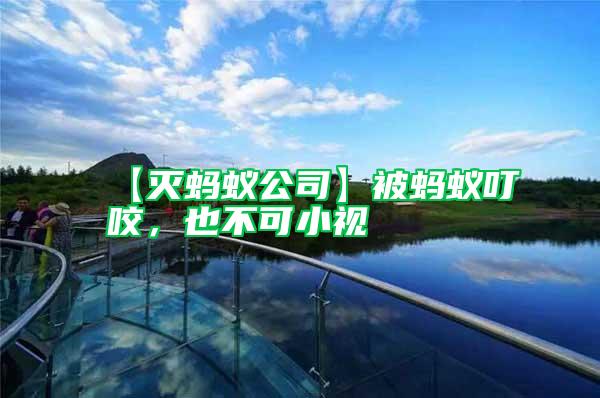 【滅螞蟻公司】被螞蟻叮咬，也不可小視