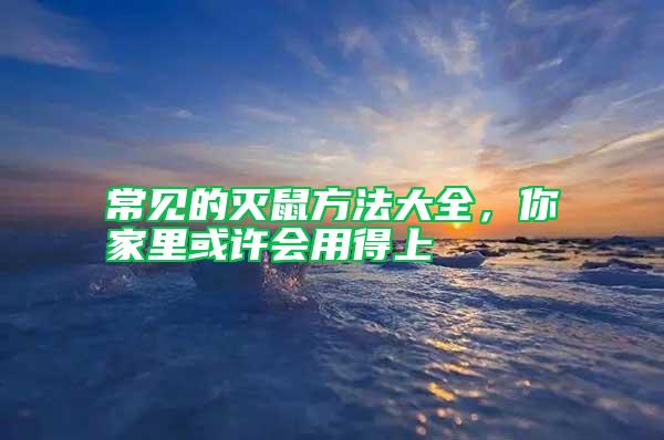 常見的滅鼠方法大全，你家里或許會(huì)用得上