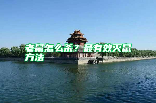 老鼠怎么殺？最有效滅鼠方法