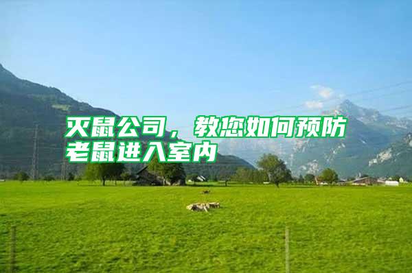 滅鼠公司，教您如何預防老鼠進入室內