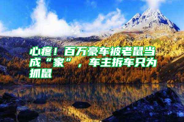 心疼！百萬豪車被老鼠當(dāng)成“家”，車主拆車只為抓鼠