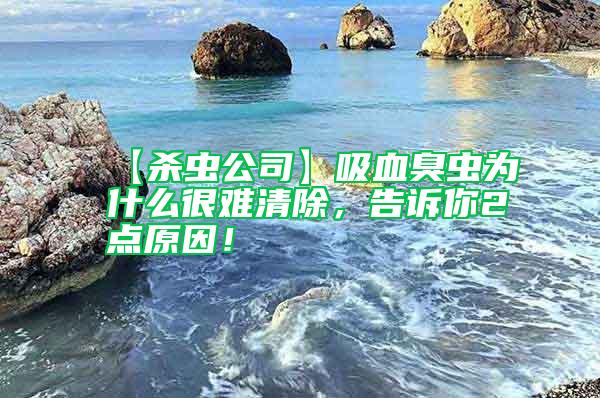 【殺蟲公司】吸血臭蟲為什么很難清除，告訴你2點原因！
