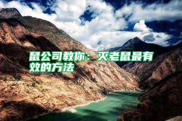 鼠公司教你:滅老鼠最有效的方法