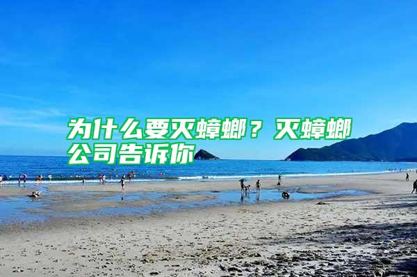 為什么要滅蟑螂？滅蟑螂公司告訴你