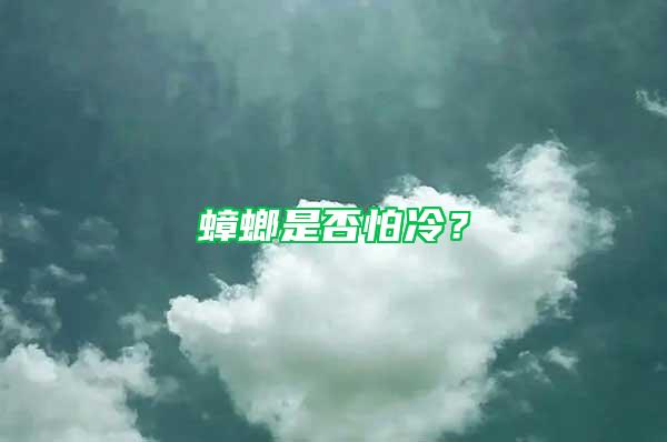 蟑螂是否怕冷？