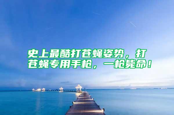 史上最酷打蒼蠅姿勢(shì)，打蒼蠅專用手槍，一槍斃命！