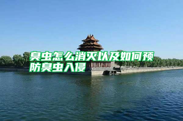 臭蟲怎么消滅以及如何預防臭蟲入侵