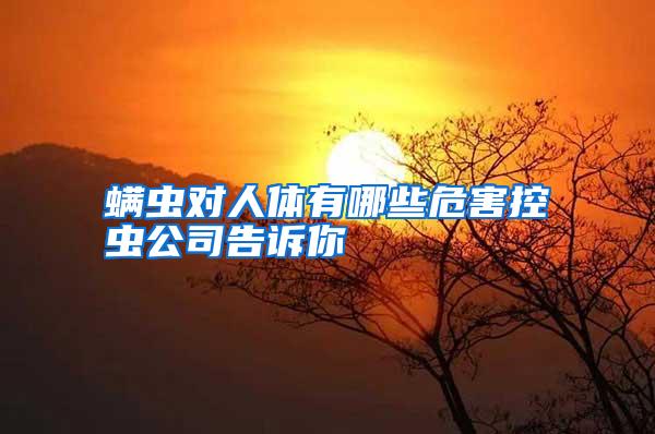 螨蟲對(duì)人體有哪些危害控蟲公司告訴你