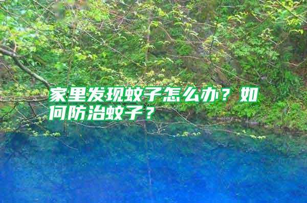 家里發(fā)現(xiàn)蚊子怎么辦？如何防治蚊子？