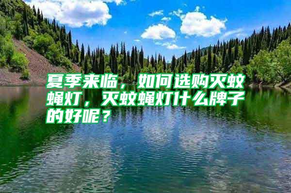 夏季來臨，如何選購滅蚊蠅燈，滅蚊蠅燈什么牌子的好呢？