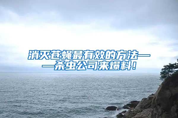 消滅蒼蠅最有效的方法——?dú)⑾x公司來爆料！