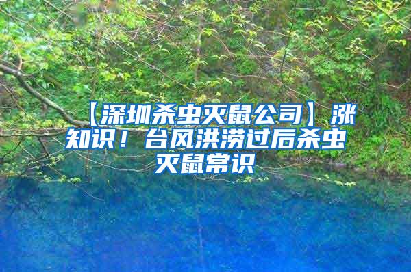 【深圳殺蟲滅鼠公司】漲知識(shí)！臺(tái)風(fēng)洪澇過后殺蟲滅鼠常識(shí)