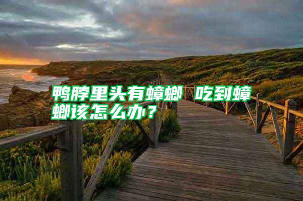鴨脖里頭有蟑螂 吃到蟑螂該怎么辦？