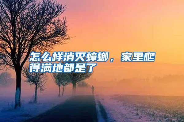 怎么樣消滅蟑螂，家里爬得滿地都是了