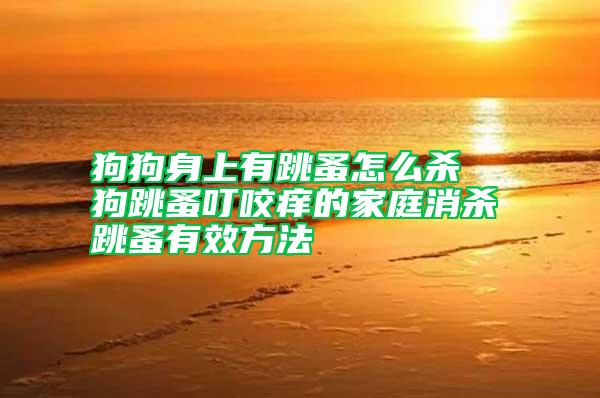 狗狗身上有跳蚤怎么殺 狗跳蚤叮咬癢的家庭消殺跳蚤有效方法