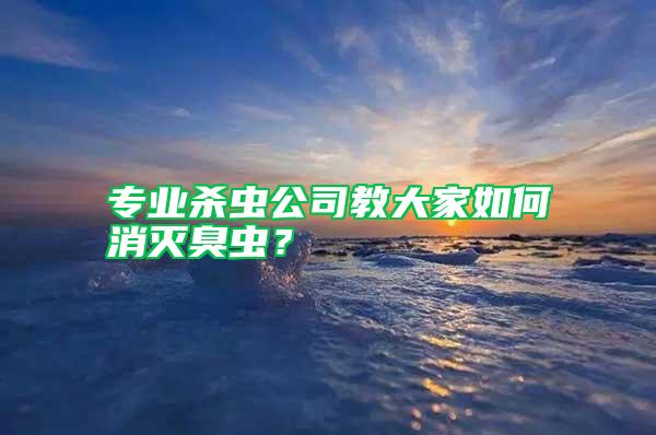 專業(yè)殺蟲(chóng)公司教大家如何消滅臭蟲(chóng)？