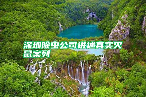 深圳除蟲公司講述真實(shí)滅鼠案列