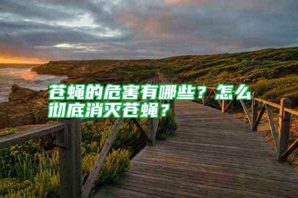 蒼蠅的危害有哪些？怎么徹底消滅蒼蠅？