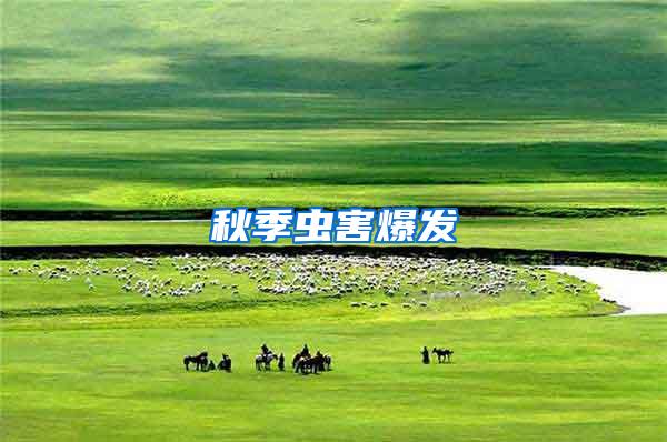 秋季蟲害爆發(fā)