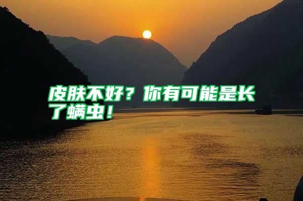 皮膚不好？你有可能是長了螨蟲！