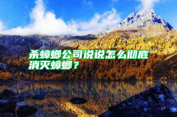 殺蟑螂公司說說怎么徹底消滅蟑螂？