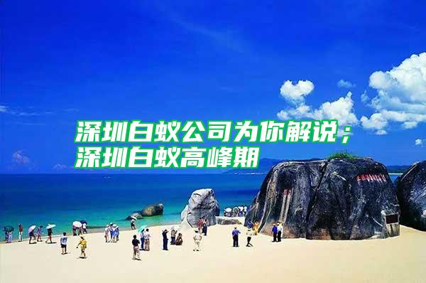 深圳白蟻公司為你解說；深圳白蟻高峰期