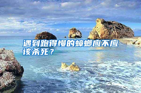 遇到跑得慢的蟑螂應(yīng)不應(yīng)該殺死？