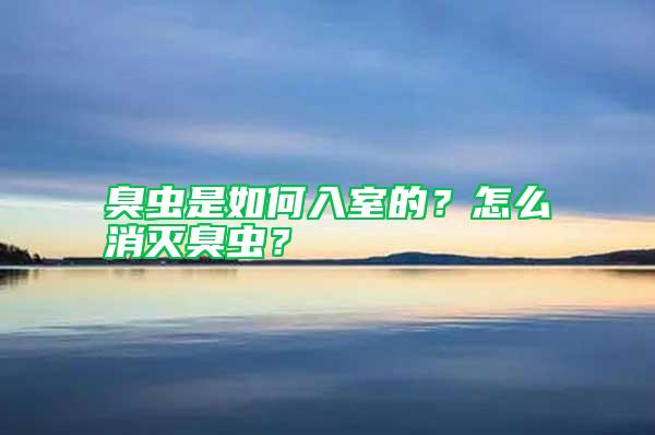 臭蟲是如何入室的？怎么消滅臭蟲？