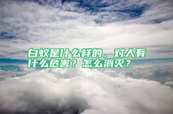 白蟻是什么樣的，對(duì)人有什么危害？怎么消滅？
