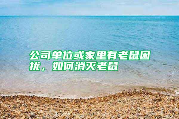 公司單位或家里有老鼠困擾，如何消滅老鼠