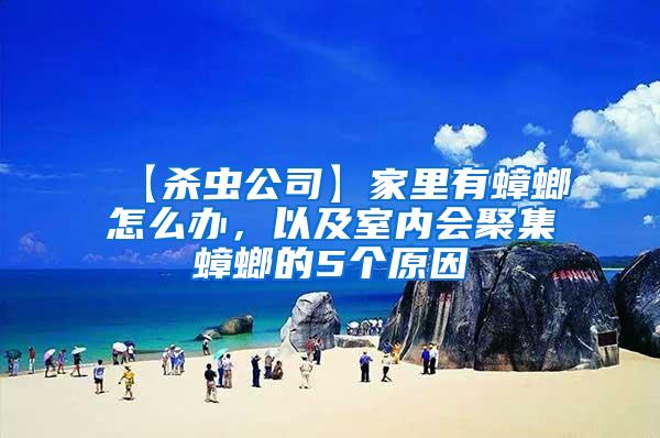 【殺蟲公司】家里有蟑螂怎么辦，以及室內(nèi)會(huì)聚集蟑螂的5個(gè)原因