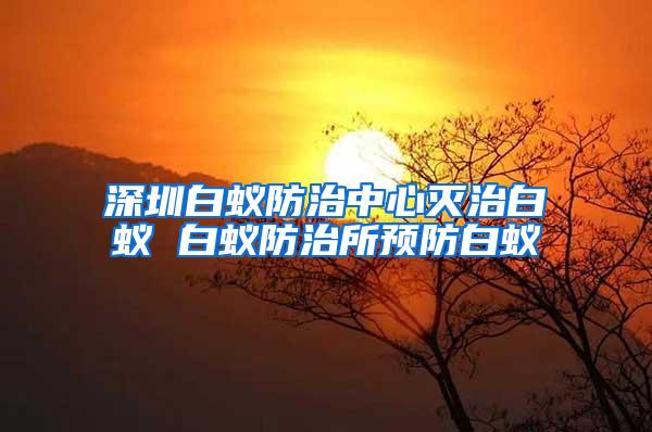 深圳白蟻防治中心滅治白蟻 白蟻防治所預(yù)防白蟻