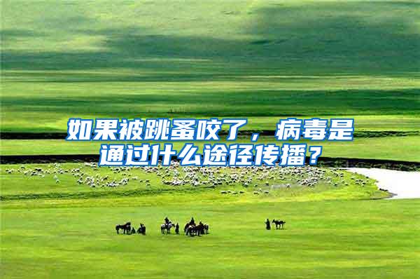 如果被跳蚤咬了，病毒是通過(guò)什么途徑傳播？