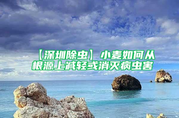 【深圳除蟲(chóng)】小麥如何從根源上減輕或消滅病蟲(chóng)害