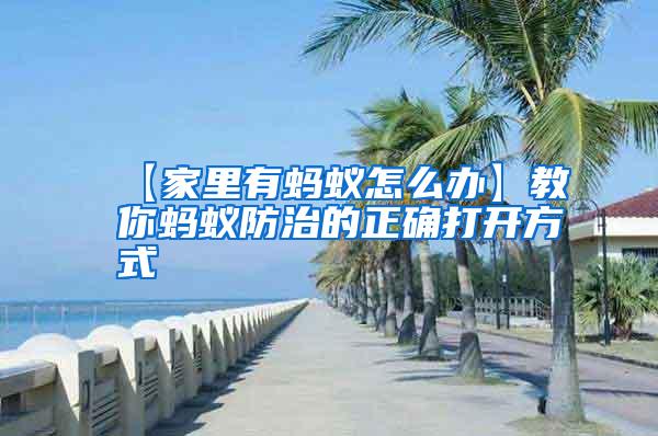 【家里有螞蟻怎么辦】教你螞蟻防治的正確打開(kāi)方式