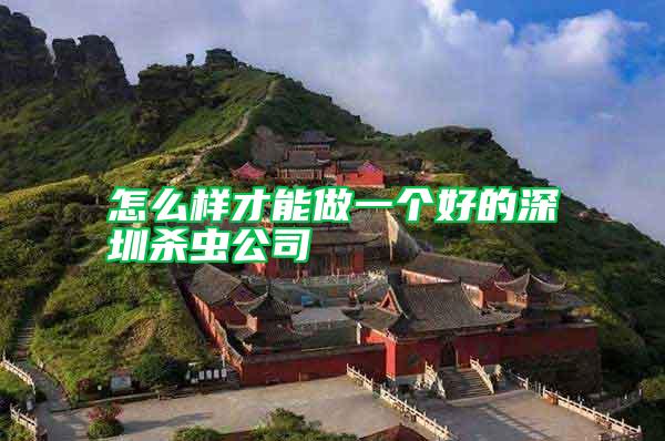 怎么樣才能做一個(gè)好的深圳殺蟲公司