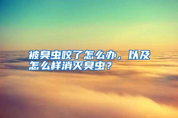 被臭蟲咬了怎么辦，以及怎么樣消滅臭蟲？