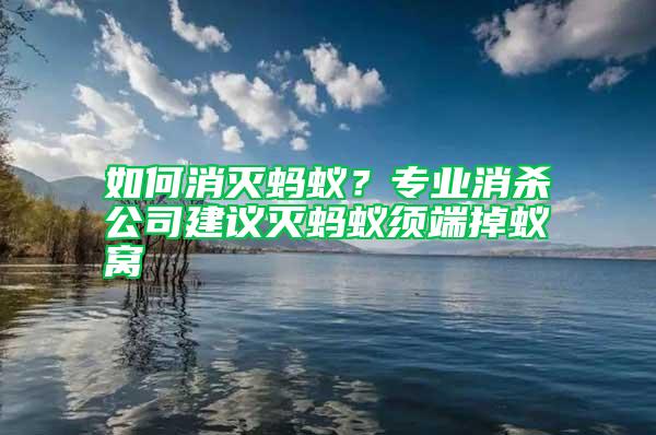 如何消滅螞蟻？專業(yè)消殺公司建議滅螞蟻須端掉蟻窩