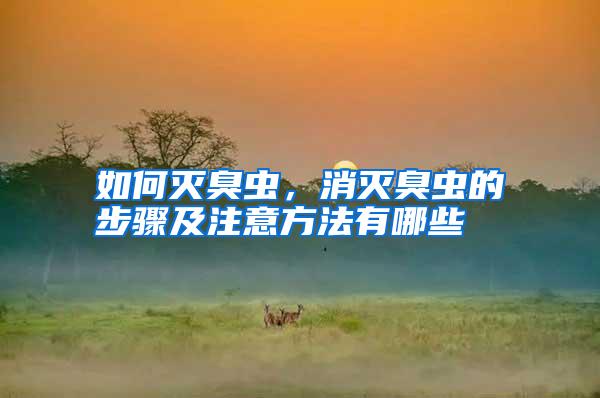 如何滅臭蟲，消滅臭蟲的步驟及注意方法有哪些