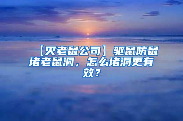 【滅老鼠公司】驅(qū)鼠防鼠堵老鼠洞,怎么堵洞更有效?