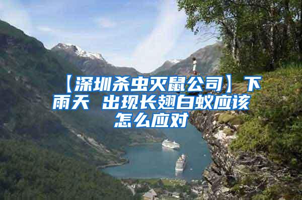 【深圳殺蟲滅鼠公司】下雨天 出現(xiàn)長翅白蟻應該怎么應對