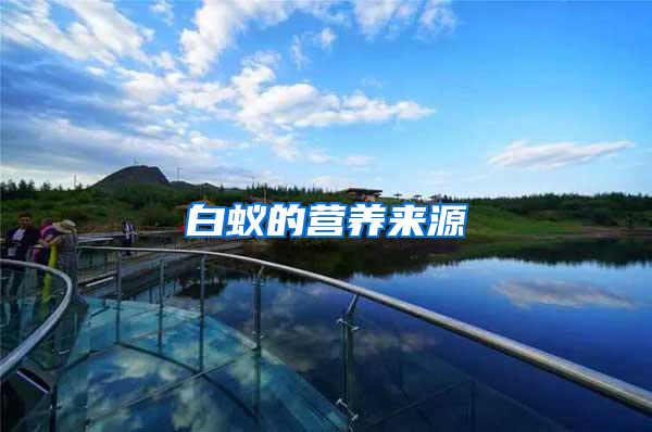 白蟻的營(yíng)養(yǎng)來(lái)源