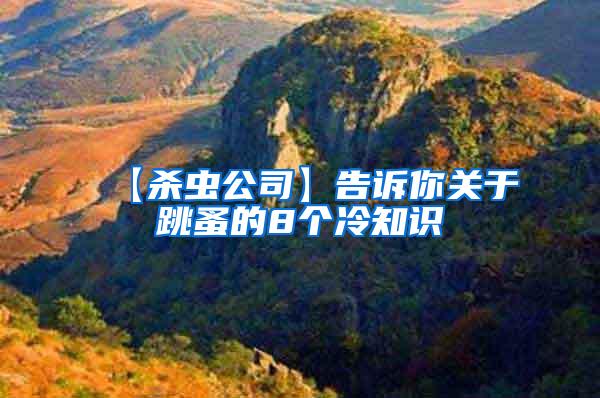 【殺蟲公司】告訴你關(guān)于跳蚤的8個(gè)冷知識