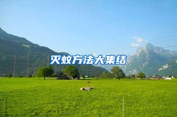 滅蚊方法大集結(jié)