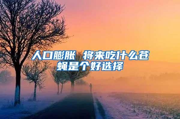 人口膨脹 將來吃什么蒼蠅是個(gè)好選擇